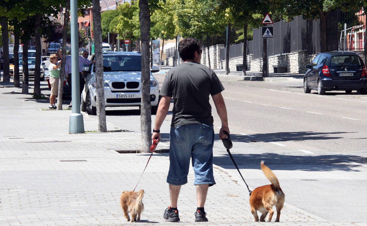 Un hombre pasea a sus dos perros. 