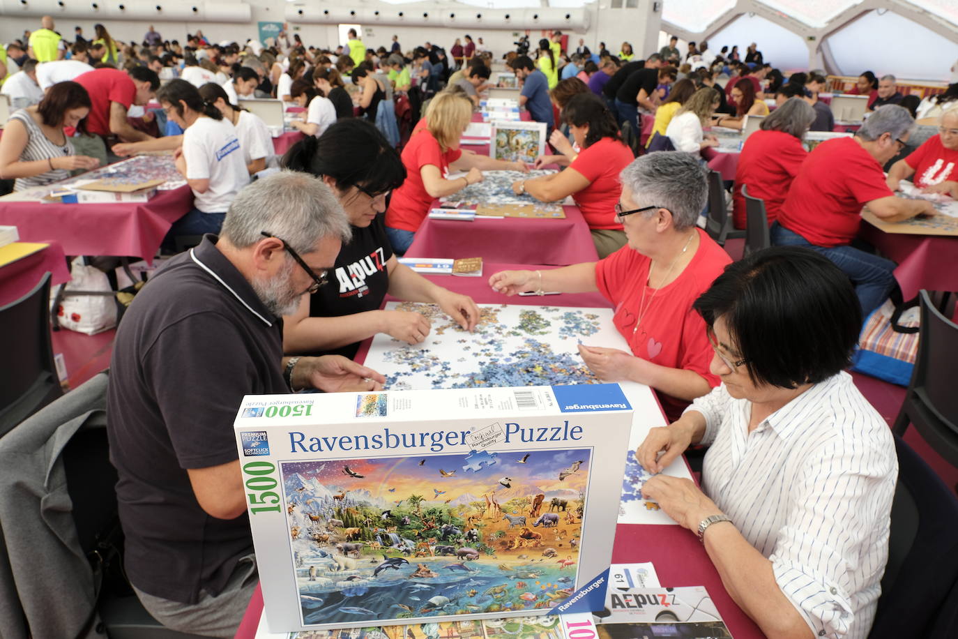 Unos 700 aficionados de 40 países diferentes participan este fin de semana en el I Campeonato del Mundo de Puzles que se celebra en la Cúpula del Mileno de Valladolid y que ha dado inicio hoy sábado con el torneo por equipos, al que seguirán mañana las disciplinas individual y por parejas. En total, el certamen, que cuenta con el apoyo del Ayuntamiento, repartirá 2.500 euros en premios.