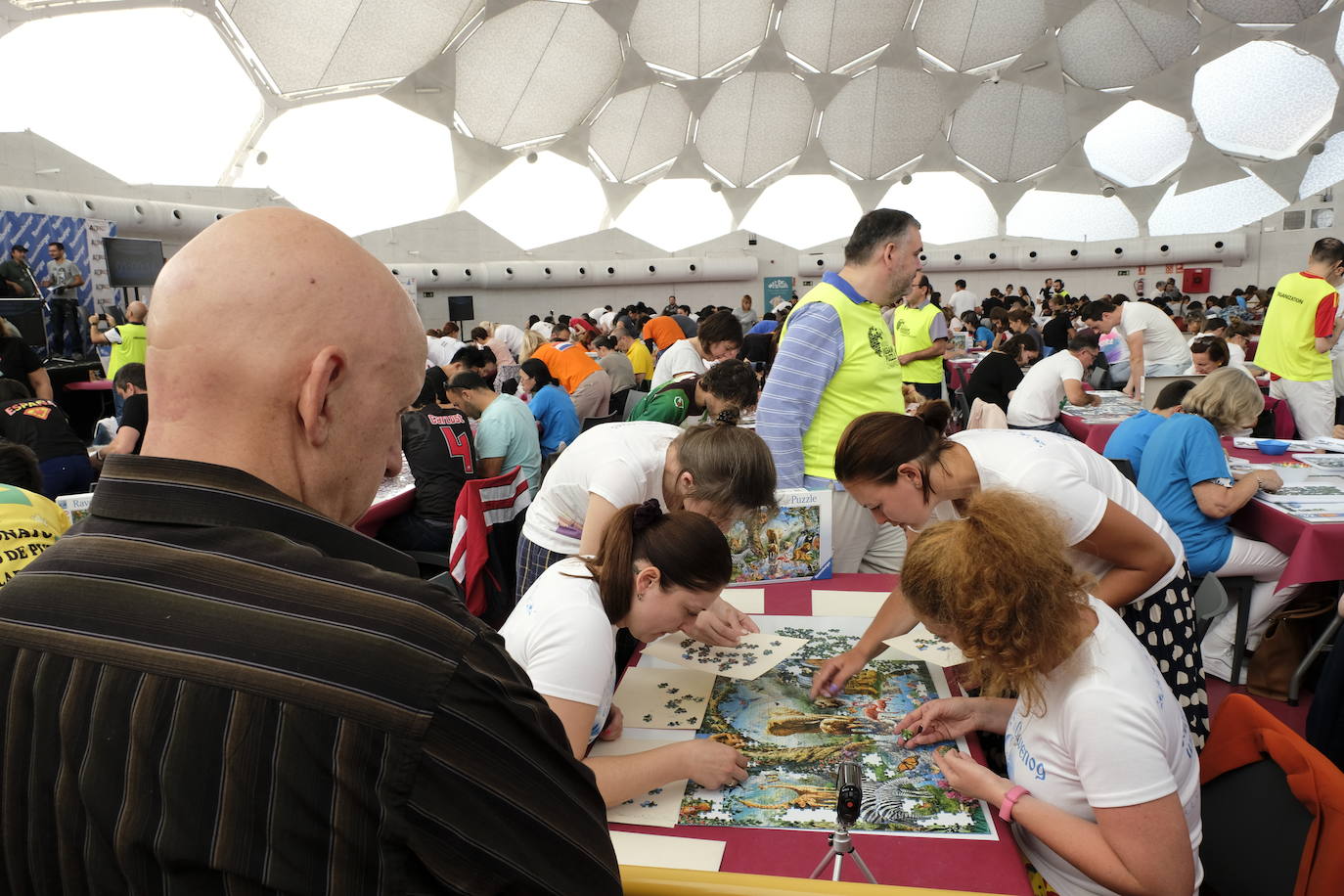 Unos 700 aficionados de 40 países diferentes participan este fin de semana en el I Campeonato del Mundo de Puzles que se celebra en la Cúpula del Mileno de Valladolid y que ha dado inicio hoy sábado con el torneo por equipos, al que seguirán mañana las disciplinas individual y por parejas. En total, el certamen, que cuenta con el apoyo del Ayuntamiento, repartirá 2.500 euros en premios.