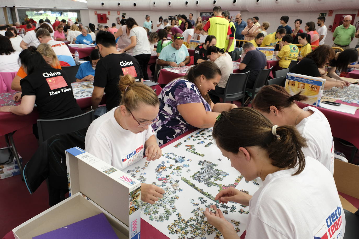 Unos 700 aficionados de 40 países diferentes participan este fin de semana en el I Campeonato del Mundo de Puzles que se celebra en la Cúpula del Mileno de Valladolid y que ha dado inicio hoy sábado con el torneo por equipos, al que seguirán mañana las disciplinas individual y por parejas. En total, el certamen, que cuenta con el apoyo del Ayuntamiento, repartirá 2.500 euros en premios.