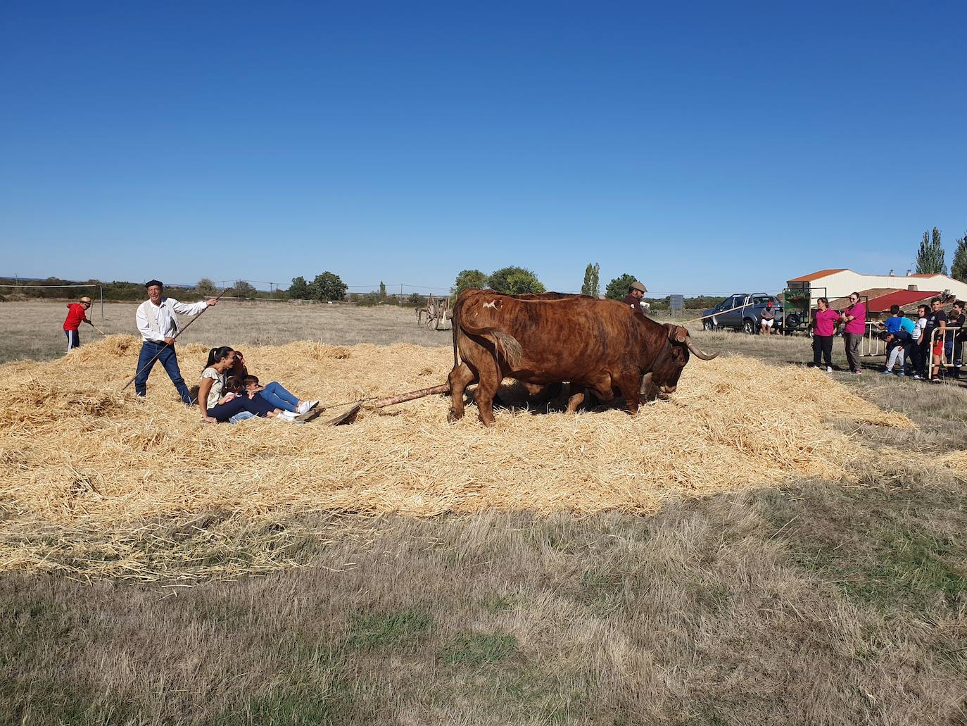 Fiestas de Fuenterroble de Salvatierra. 