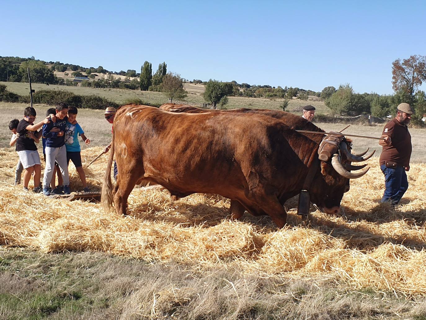 Fiestas de Fuenterroble de Salvatierra. 