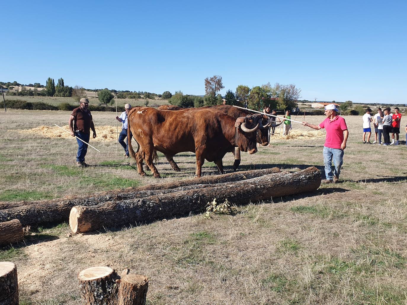 Fiestas de Fuenterroble de Salvatierra. 