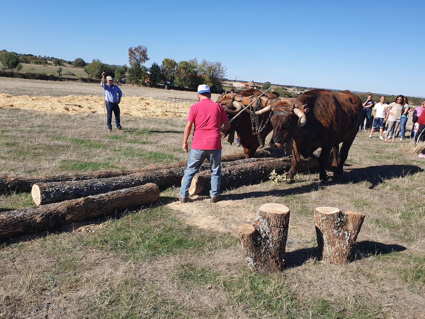 Fiestas de Fuenterroble de Salvatierra. 