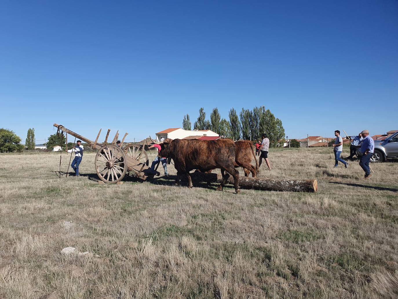 Fiestas de Fuenterroble de Salvatierra. 
