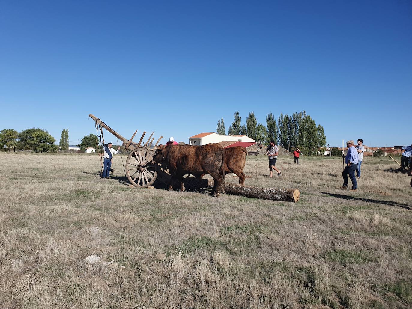 Fiestas de Fuenterroble de Salvatierra. 