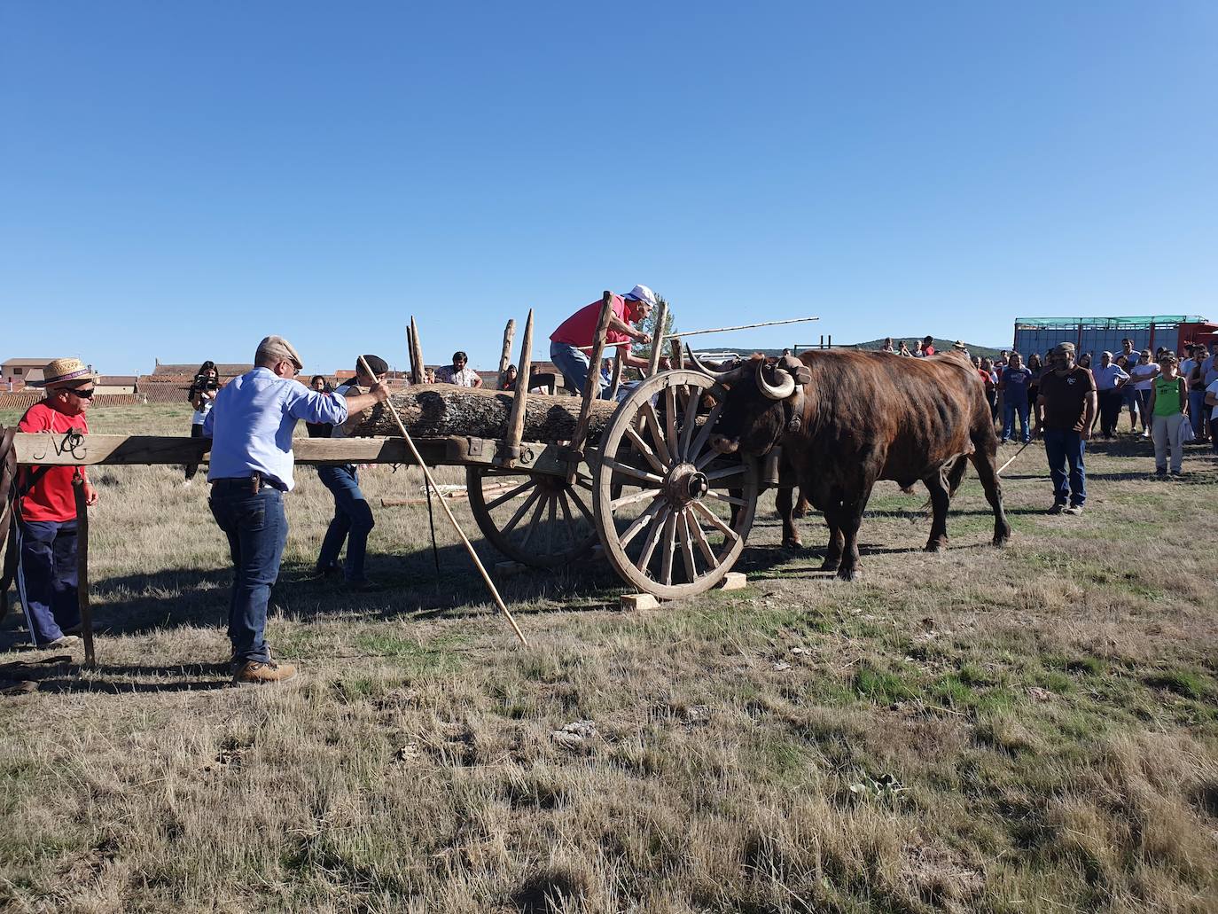 Fiestas de Fuenterroble de Salvatierra. 