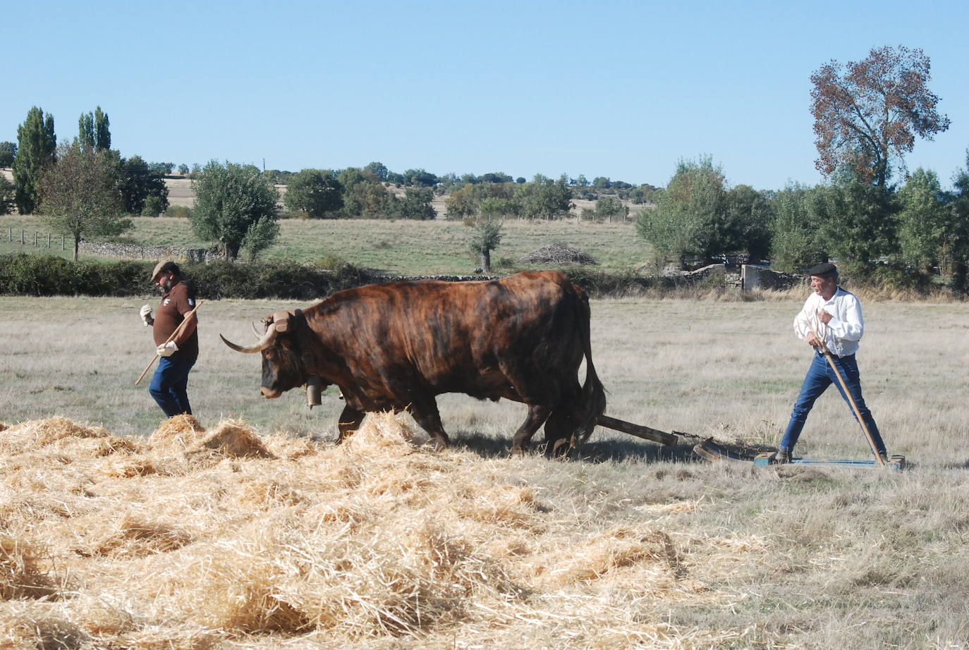 Fiestas de Fuenterroble de Salvatierra. 