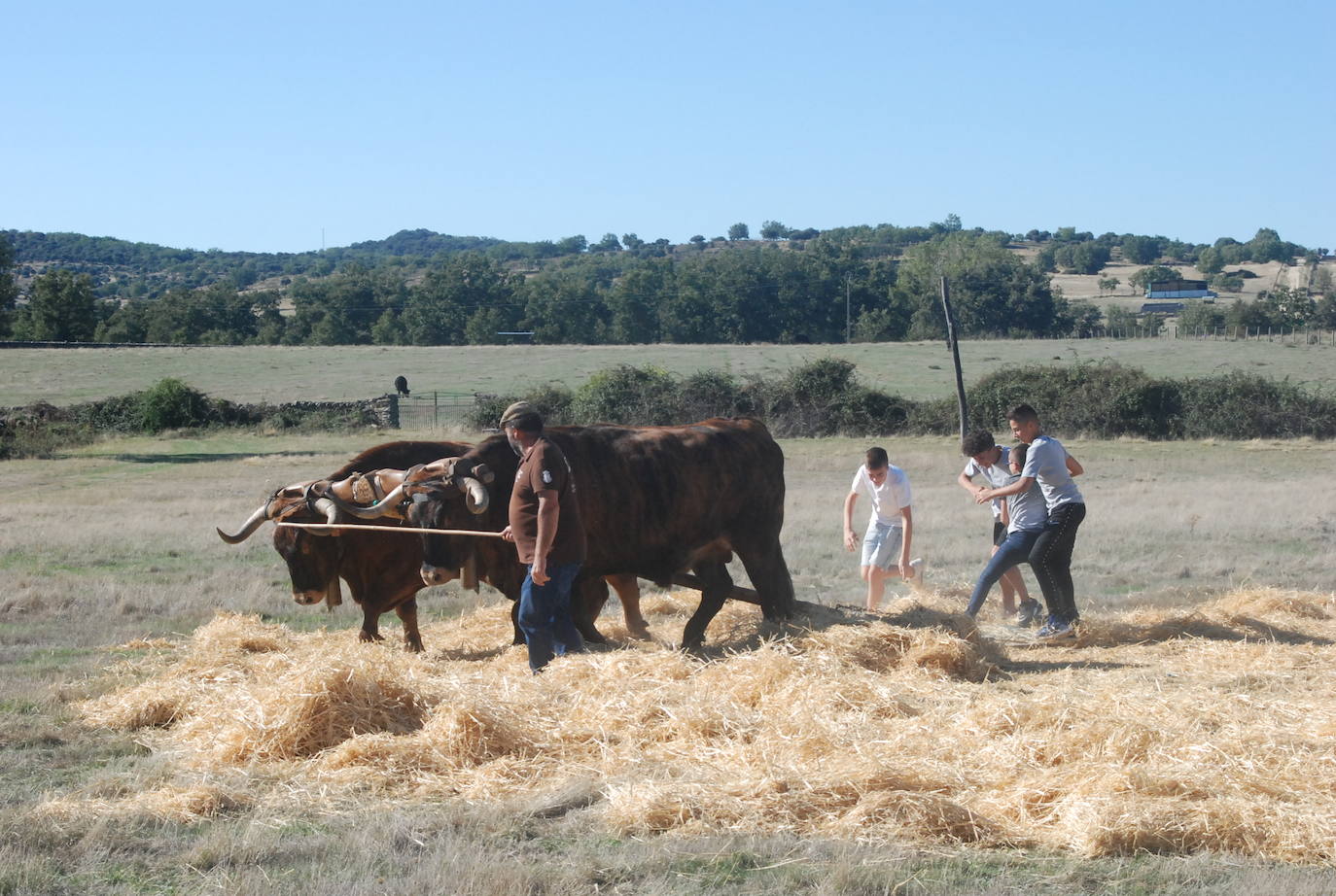 Fiestas de Fuenterroble de Salvatierra. 