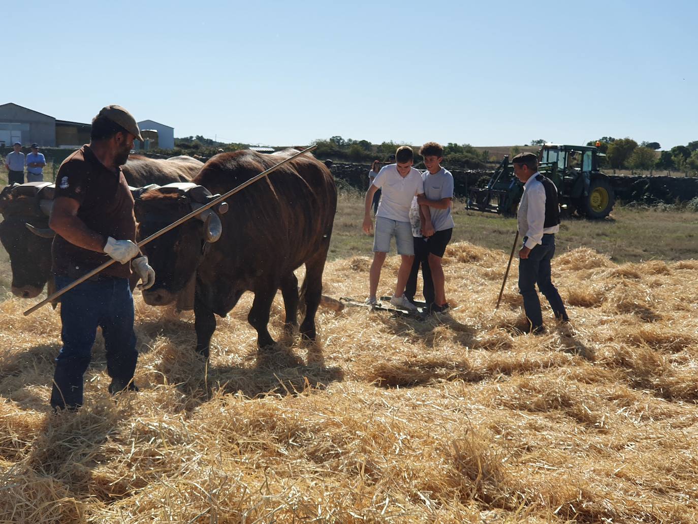 Fiestas de Fuenterroble de Salvatierra. 