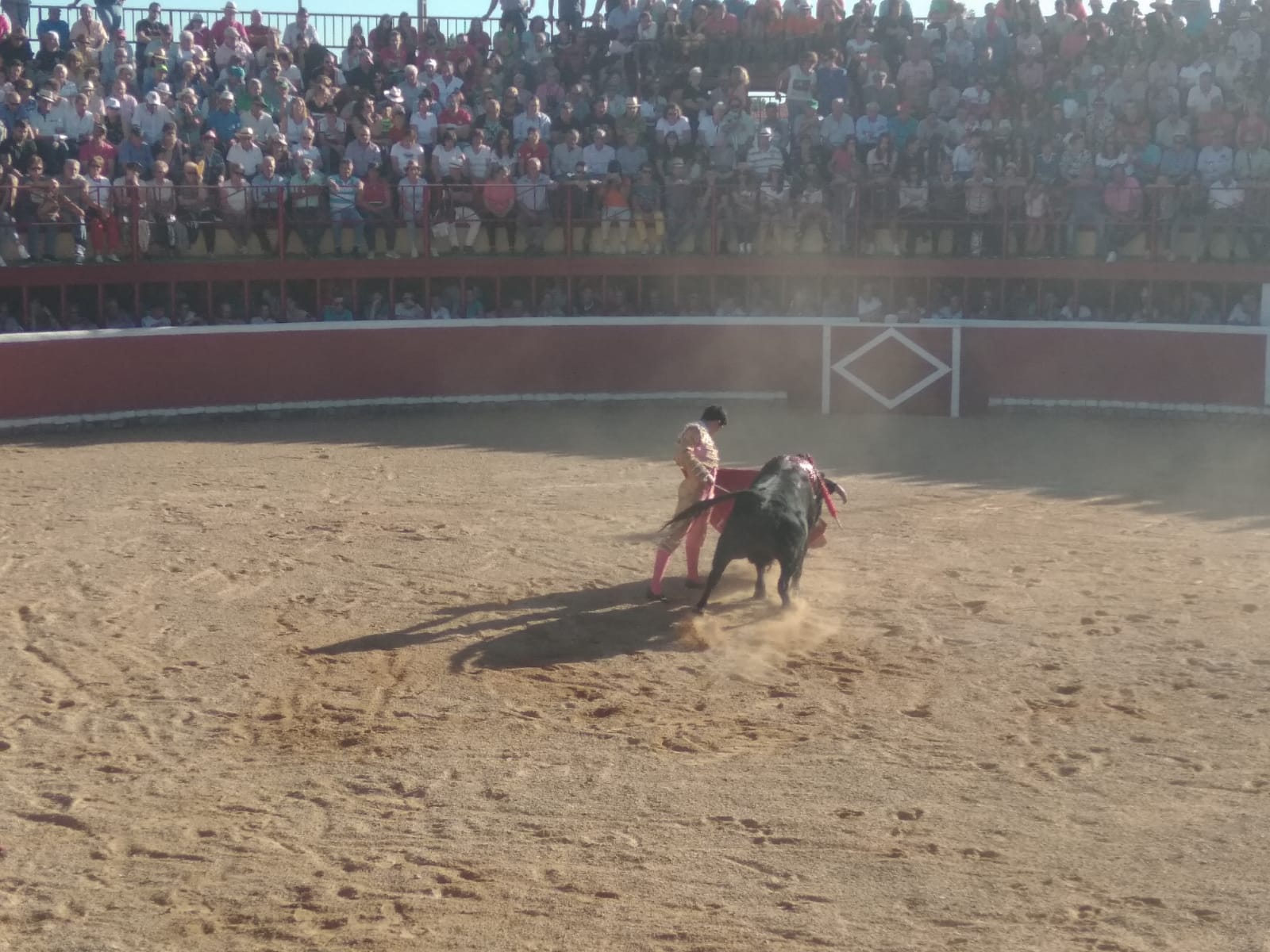 Fotos: Festejos taurinos en San Miguel de Valero