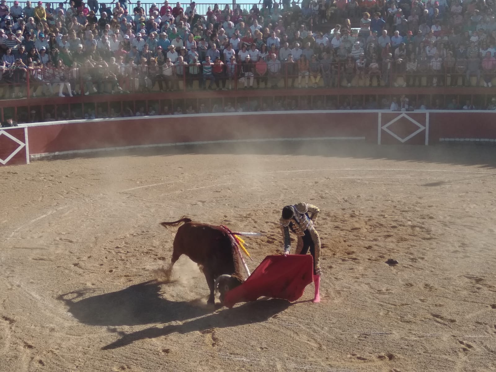 Fotos: Festejos taurinos en San Miguel de Valero