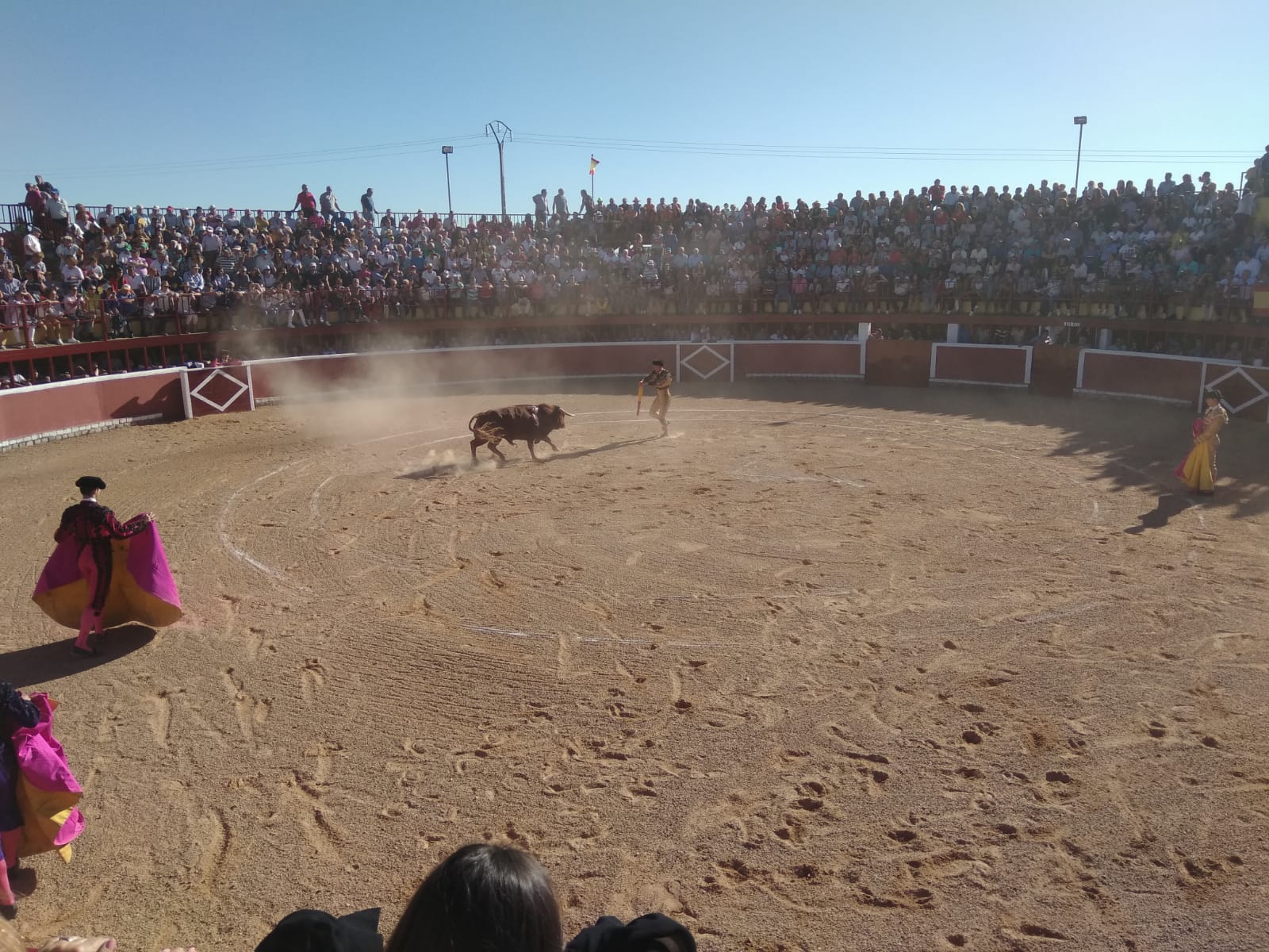 Fotos: Festejos taurinos en San Miguel de Valero