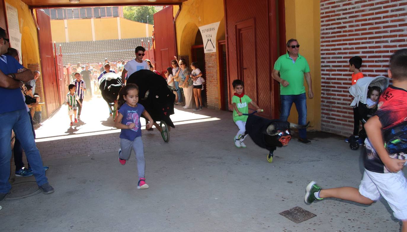 Fotos: Fiestas patronales de San Miguel Arcángel en Cuéllar