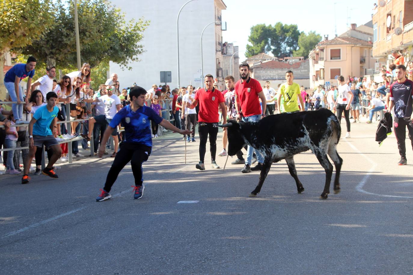 Fotos: Fiestas patronales de San Miguel Arcángel en Cuéllar