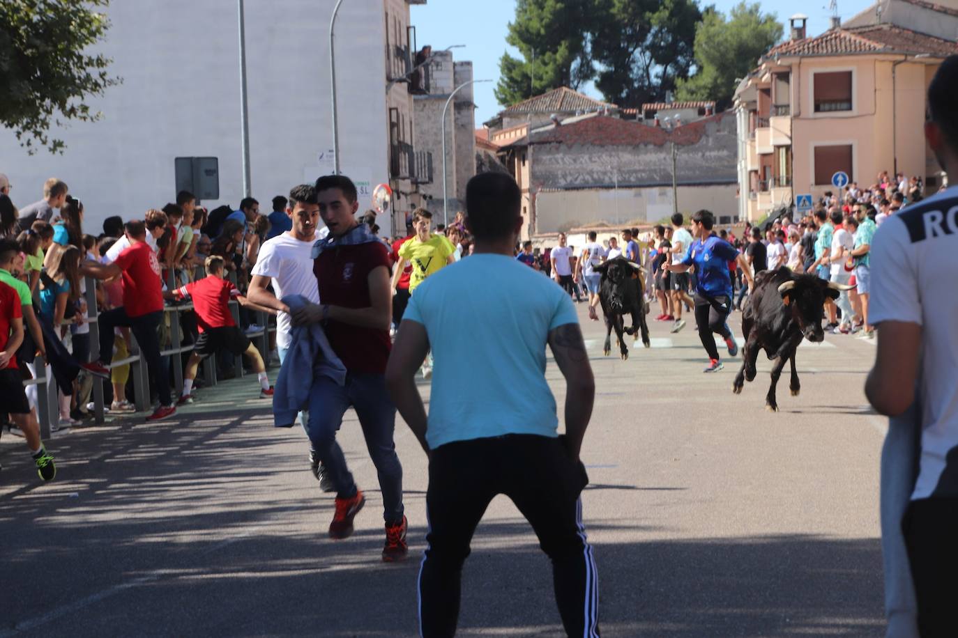 El buen tiempo ha favorecido una elevada participación en los festejos de San Miguel en Cuéllar.