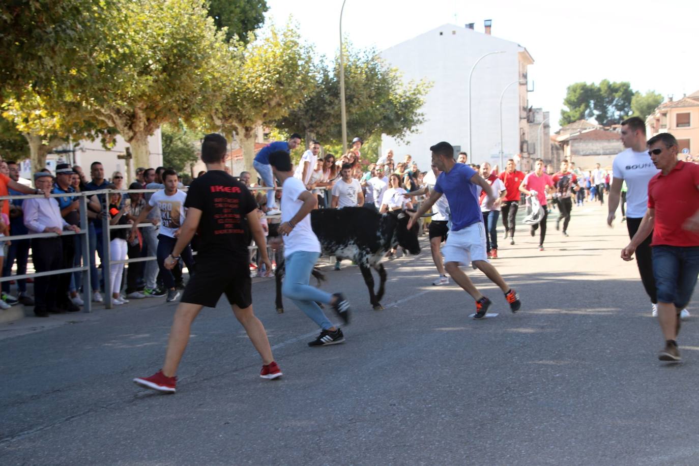 Fotos: Fiestas patronales de San Miguel Arcángel en Cuéllar