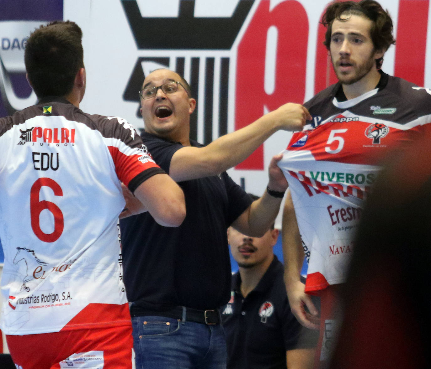 Partido entre el Balonmano Nava y el Logroño 
