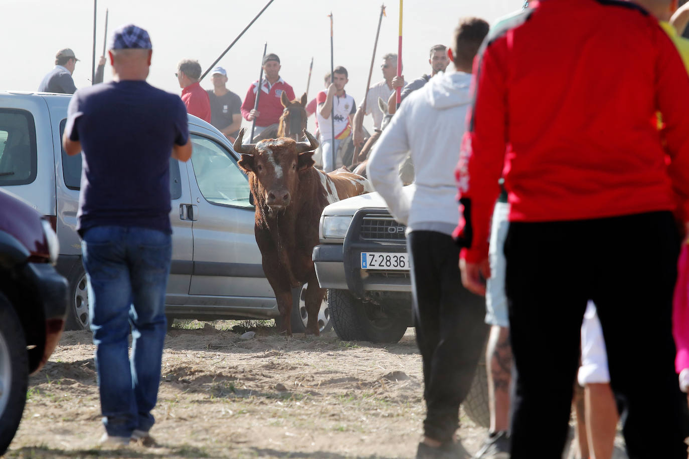 El encierro de Mojados de este mañana. 