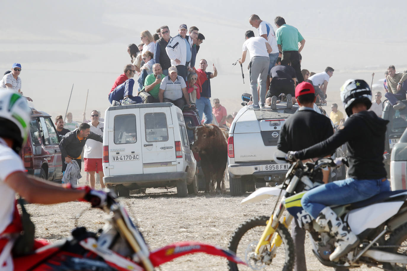 El encierro de Mojados de este mañana. 