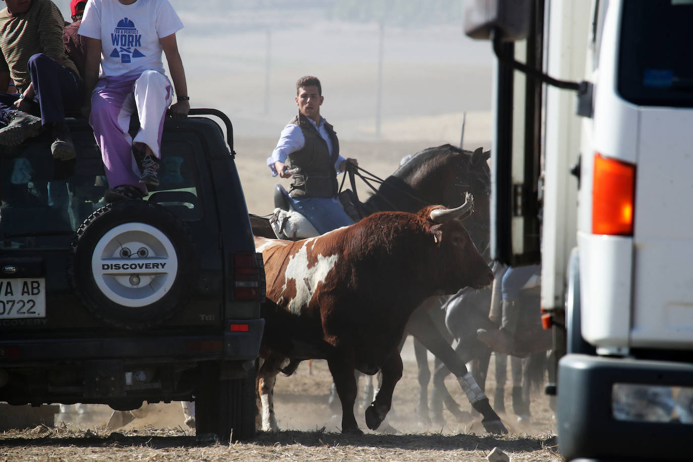 El encierro de Mojados de este mañana. 