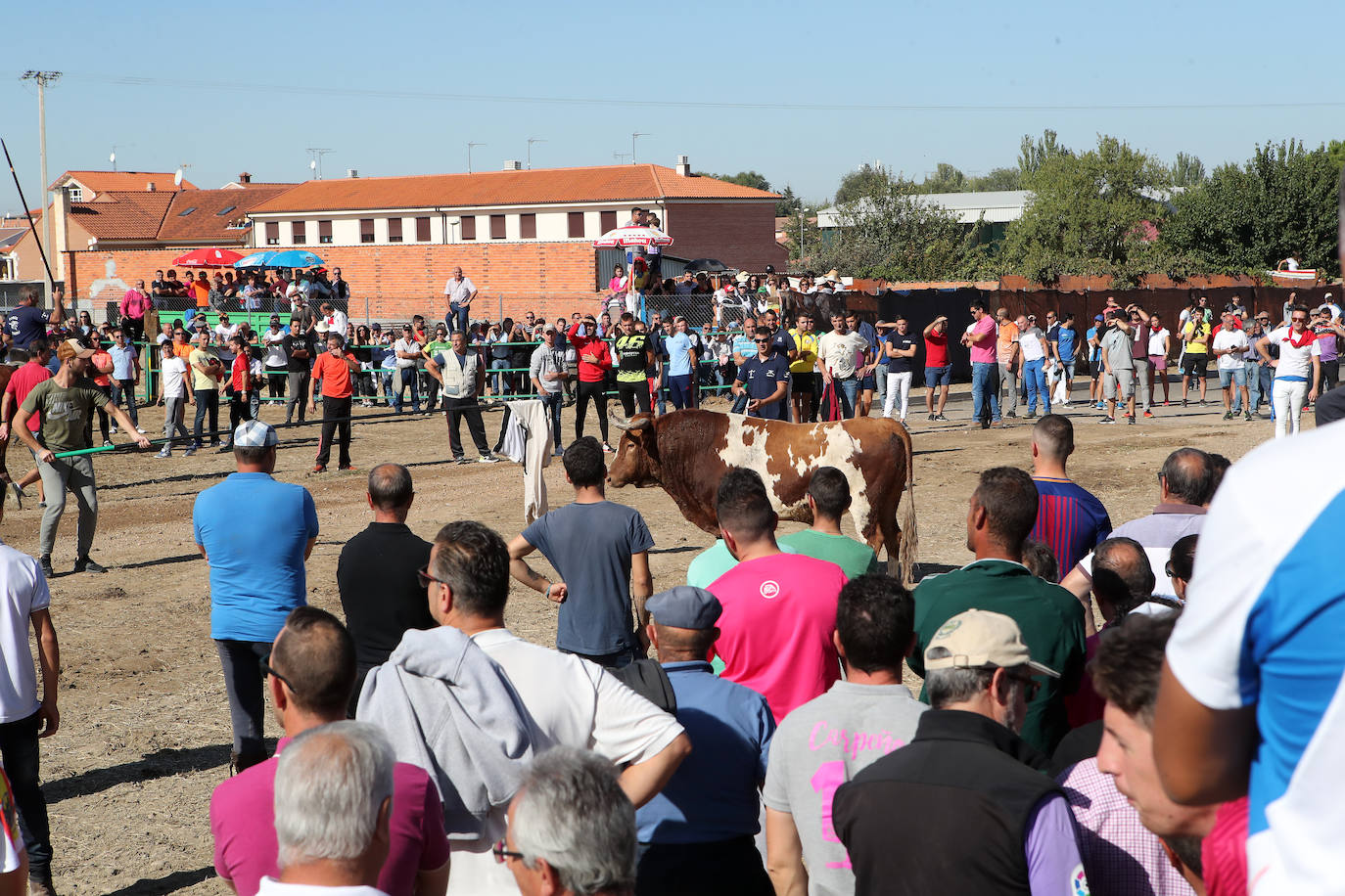 El encierro de Mojados de este mañana. 