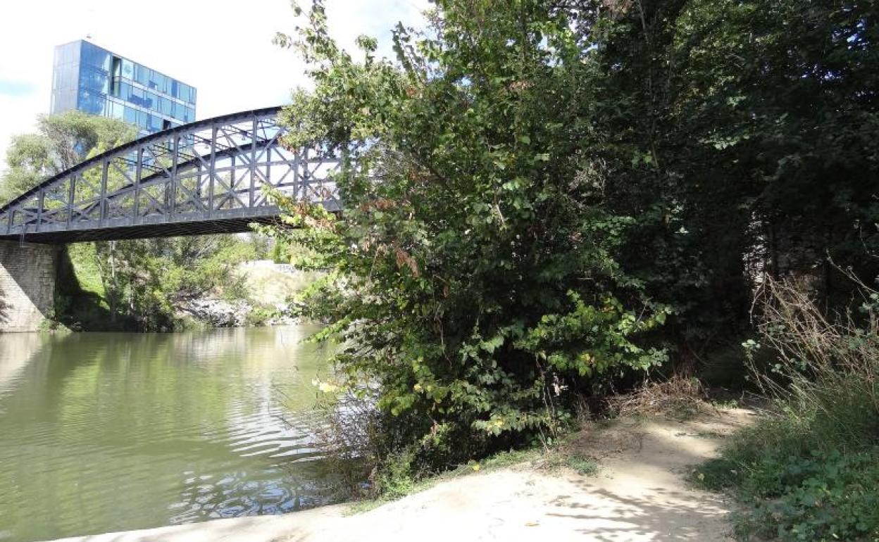 El sendero de la ribera del Pisuerga, a su paso bajo el Puente Colgante.