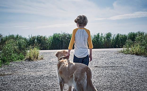Un fotograma de 'En la hierba alta'.