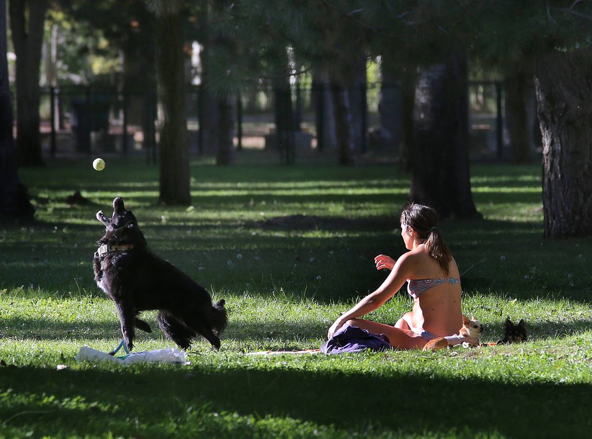 Una mujer juega con su perro en el parque del Sotillo de Palencia.