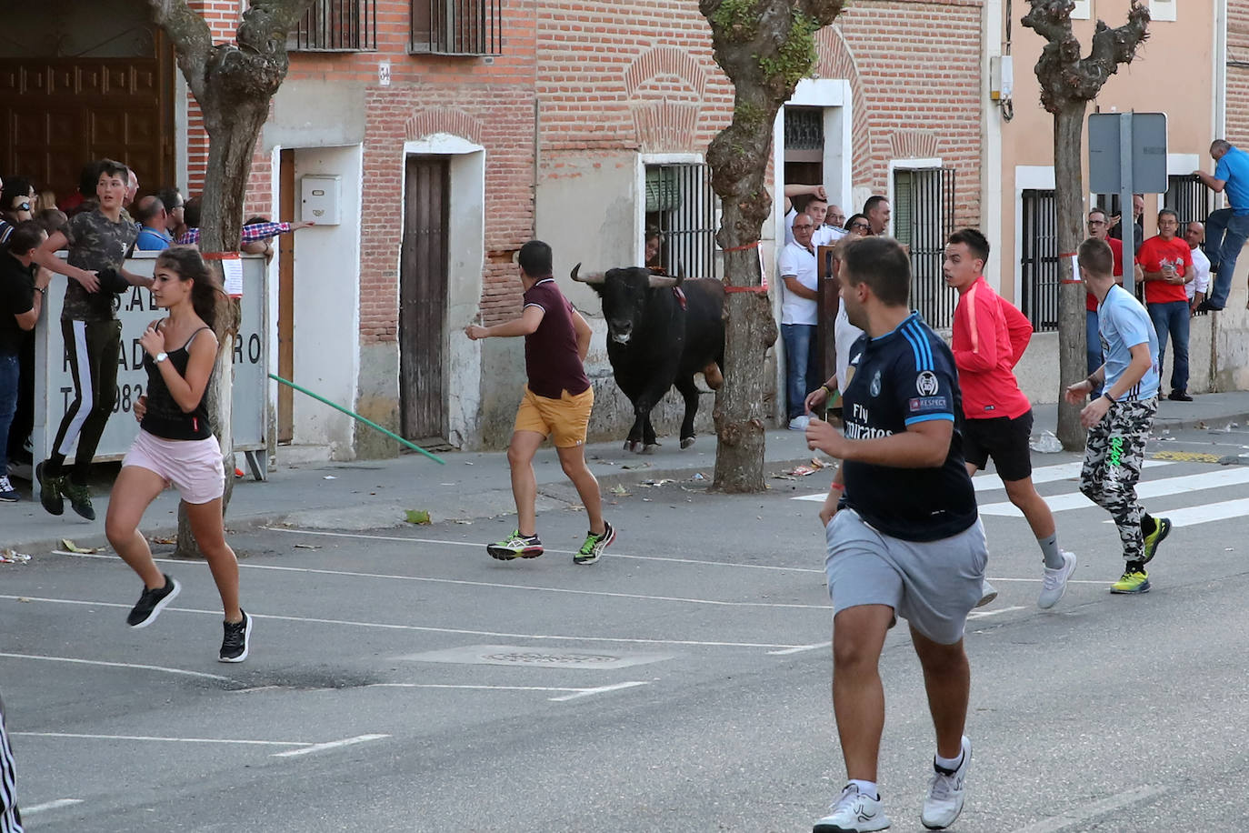 Festejo del Toro del Verdejo de Rueda. 