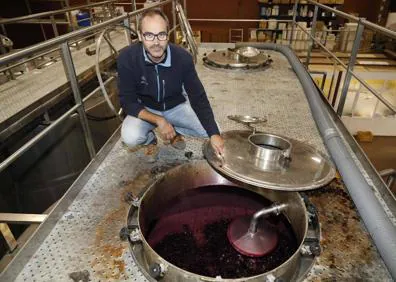 Imagen secundaria 1 - Gonzalo Diosdado, responsable de campo de Carramimbre. Abajo, el enólogo Germán Medrano. 