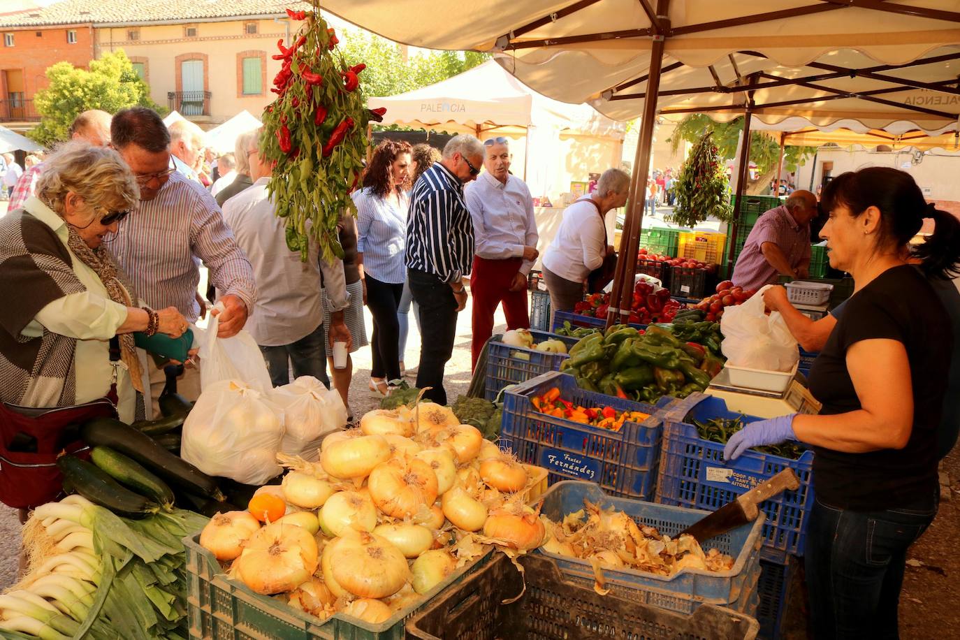 Feria de la Cebolla en Palenzuela. 