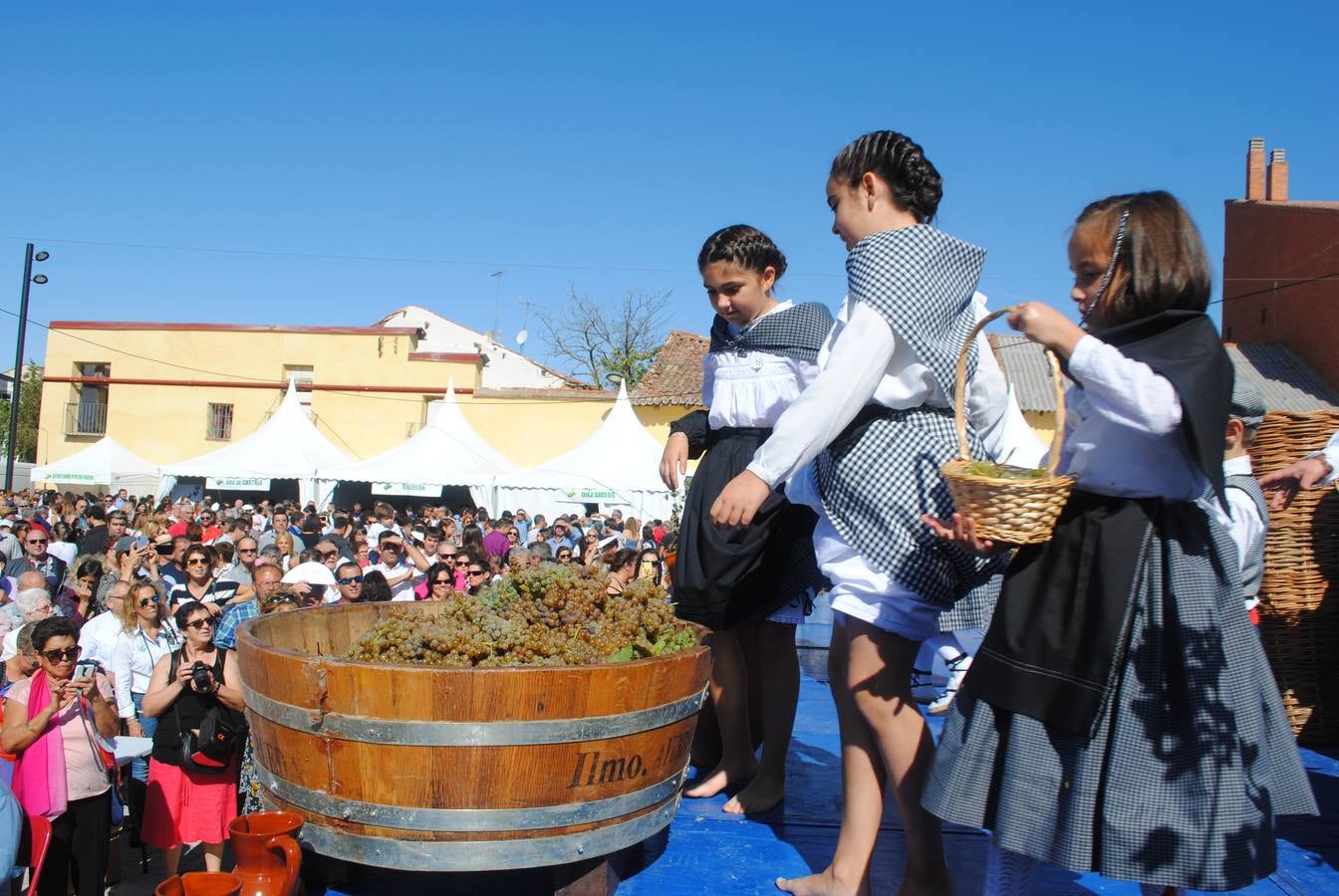 La encargada de realizar el pregón fue la redactora de El Norte de Castilla, Nieves Caballero