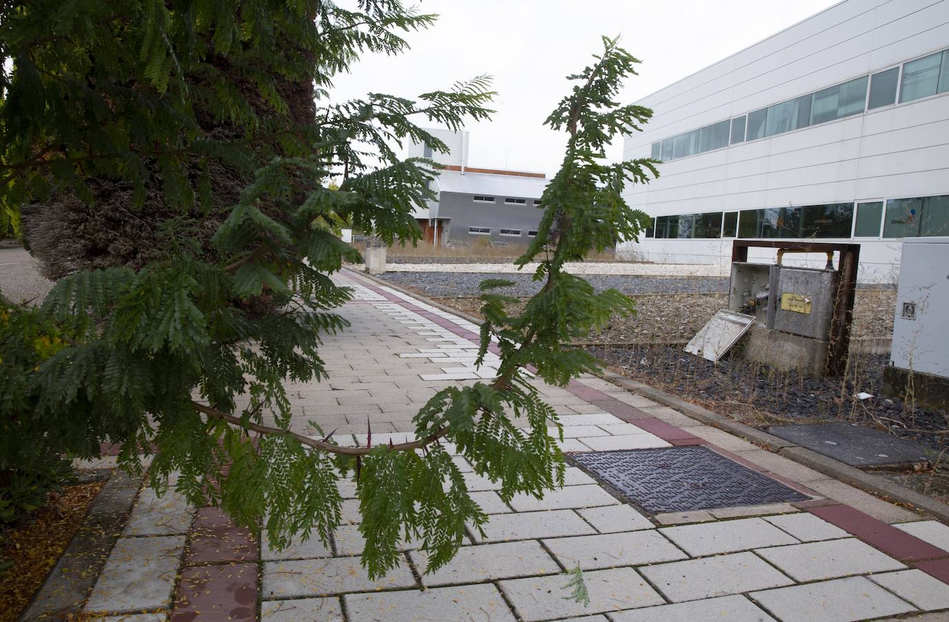 Falta de mantenimiento en el Parque Tecnológico de Boecillo