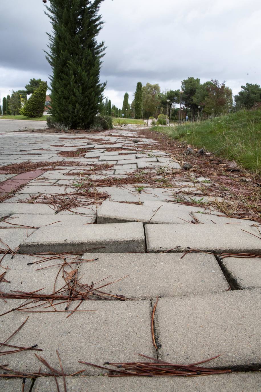 Falta de mantenimiento en el Parque Tecnológico de Boecillo