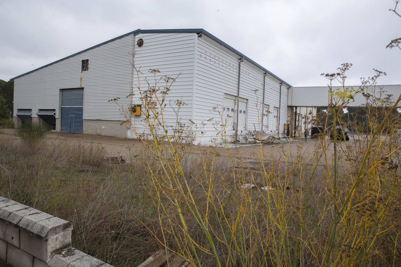 Falta de mantenimiento en el Parque Tecnológico de Boecillo