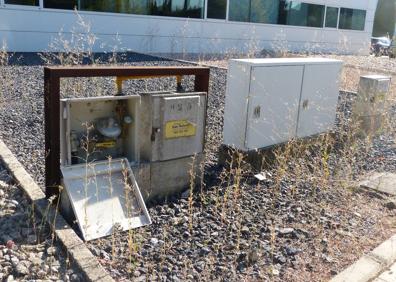 Imagen secundaria 1 - Árboles caídos o con ramas secas, cajas del gas rotas o socavones en aceras y viales secundarios. 