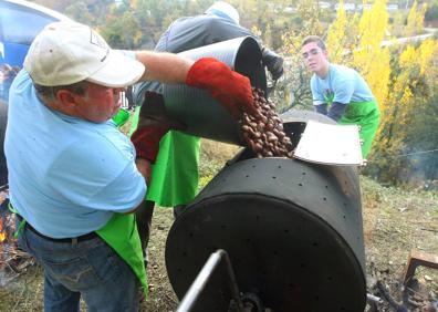 Imagen secundaria 1 - Distintos momentos de la recogida y elaboración de la castaña del Bierzo. 