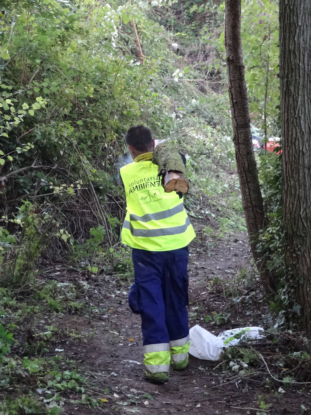 Limpieza de la senda del Pisuerga. 