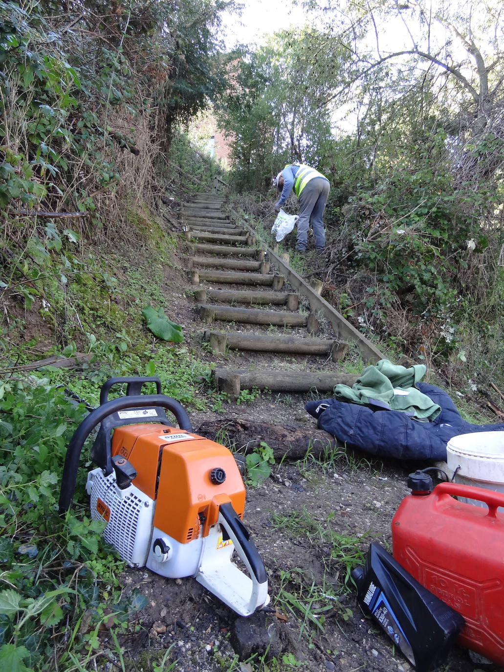 Limpieza de la senda del Pisuerga. 