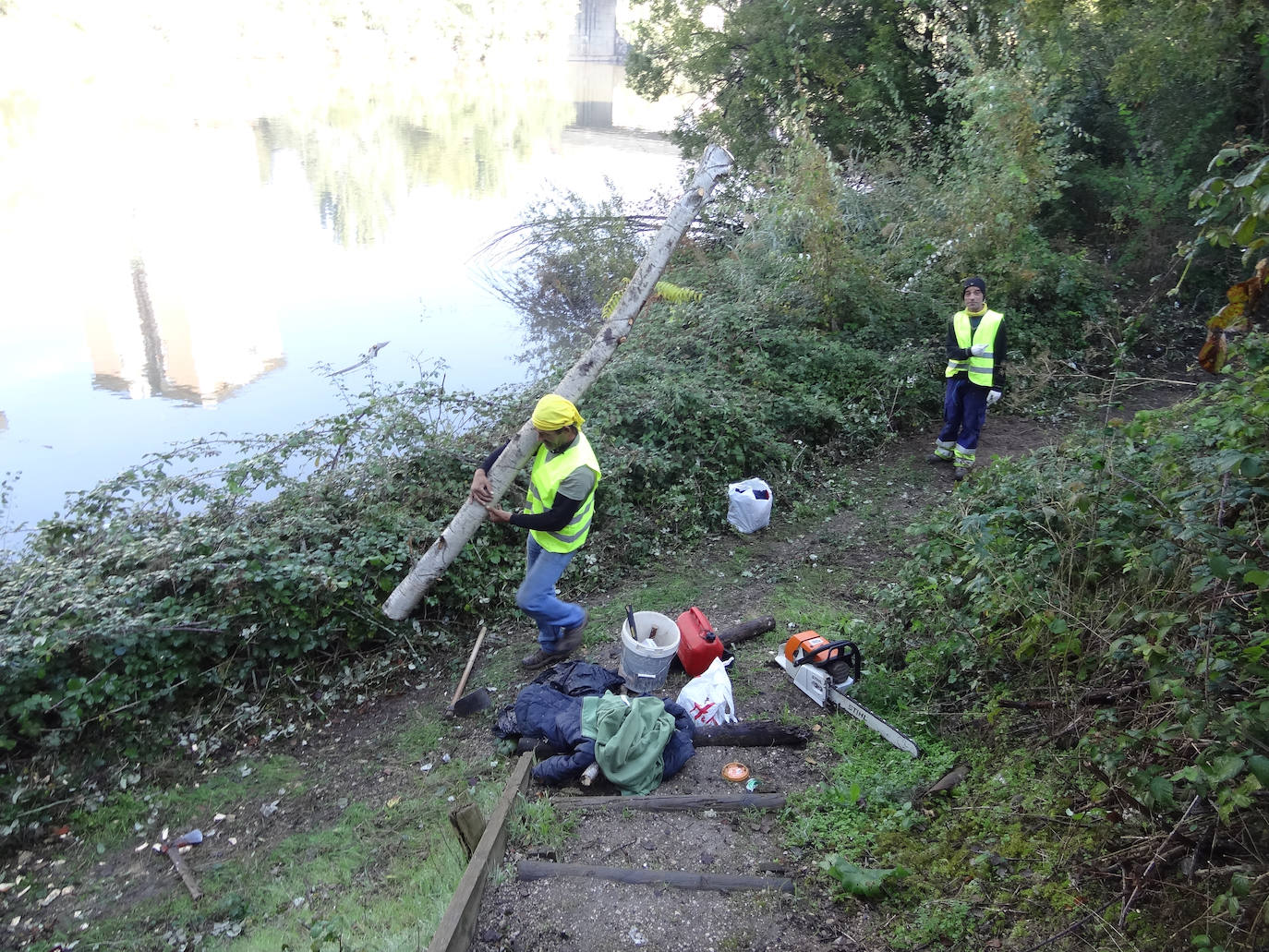 Limpieza de la senda del Pisuerga. 