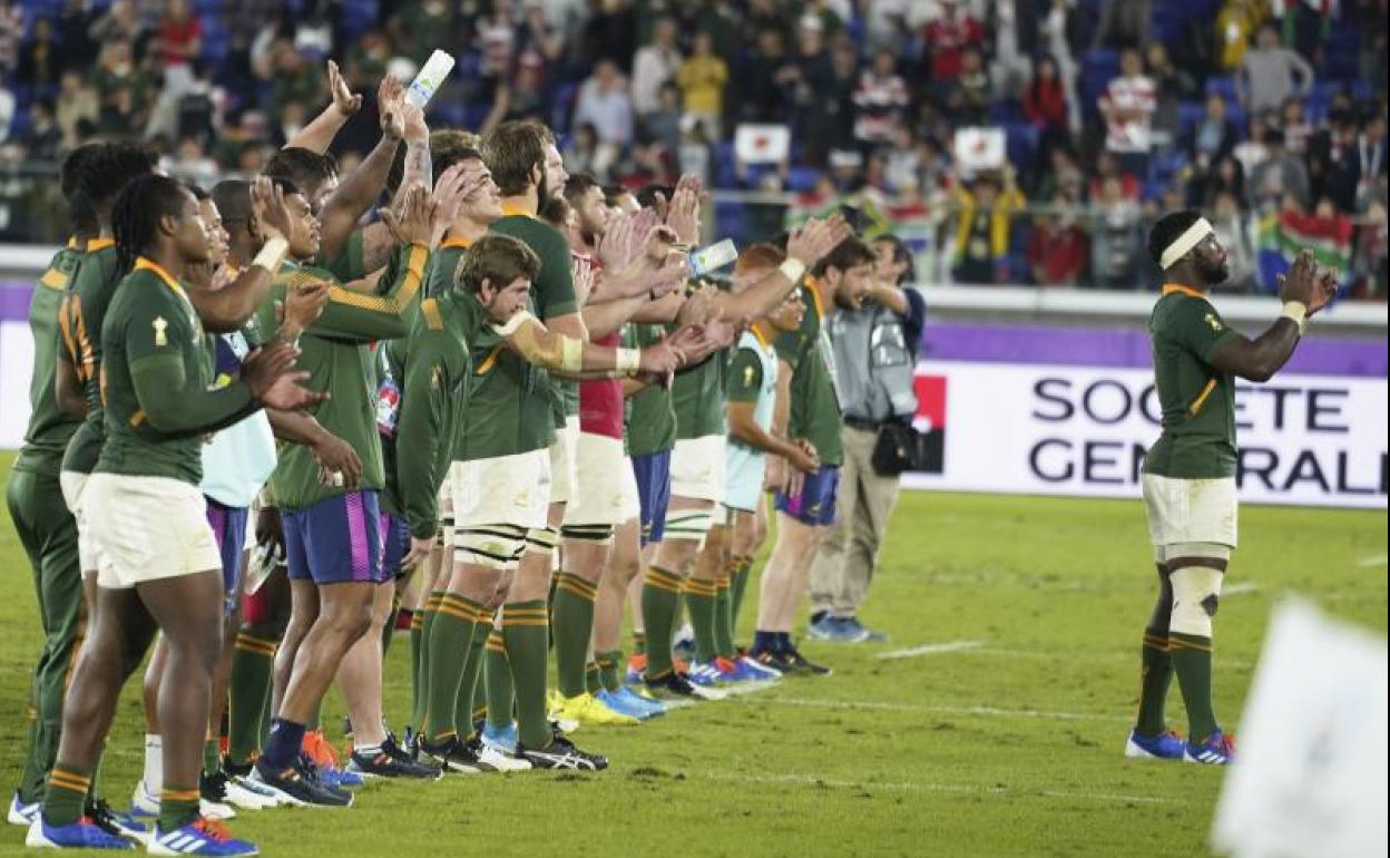 Los jugadores sudafricanos celebran su pase a la final del Mundial de rugby.