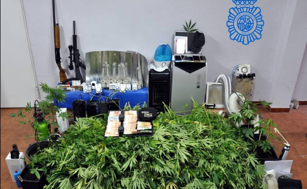 Plantas, armas, dinero y materiales incautados por la Policía Nacional.