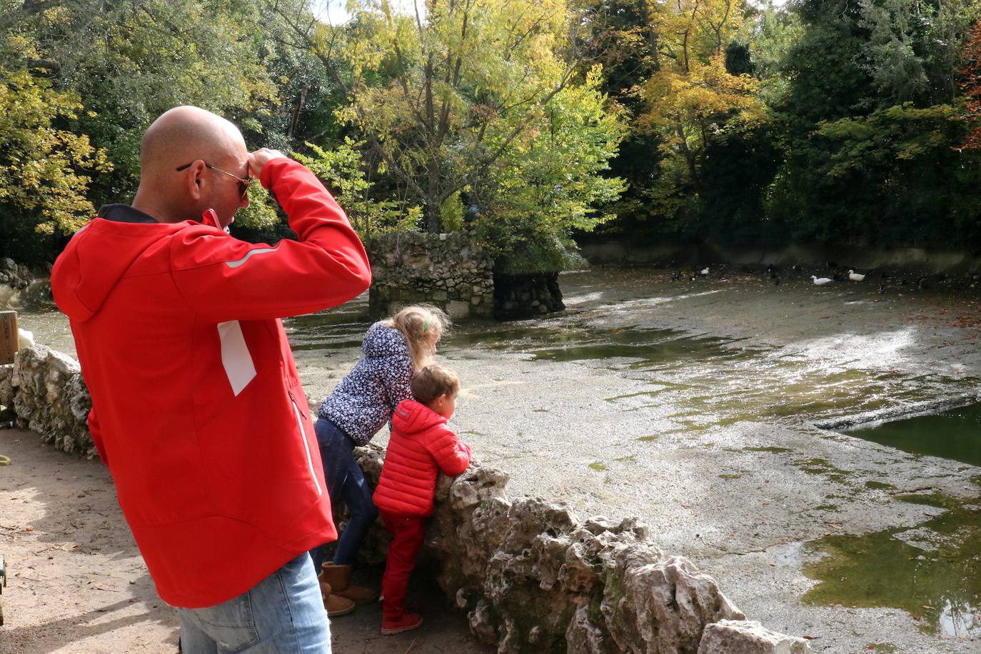 Los operarios vacían el canal, una vez despejado el estanque, ante la curiosa mirada de familias y paseantes y el apiñamiento de los habitantes acuáticos del parque.