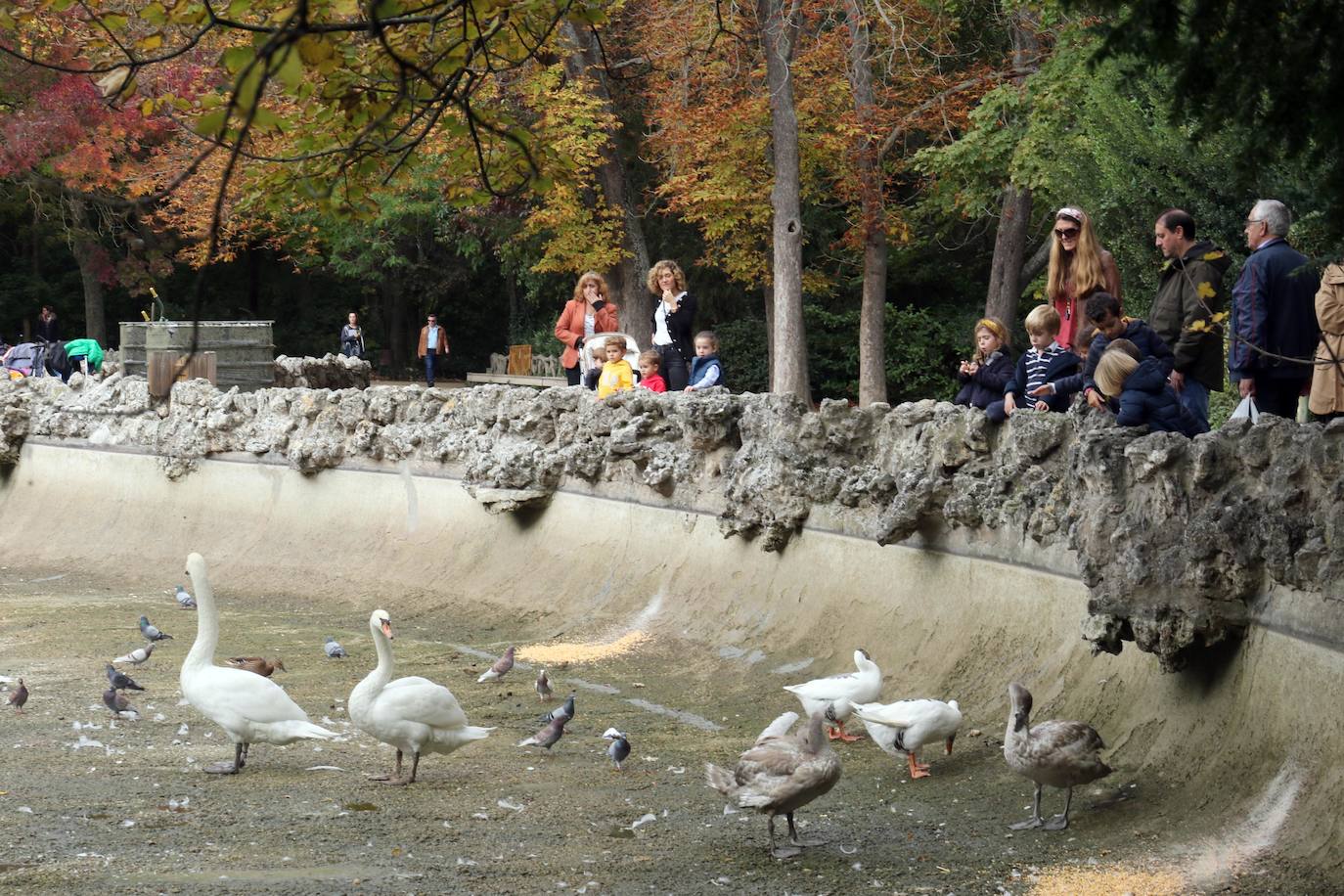 Los operarios vacían el canal, una vez despejado el estanque, ante la curiosa mirada de familias y paseantes y el apiñamiento de los habitantes acuáticos del parque.