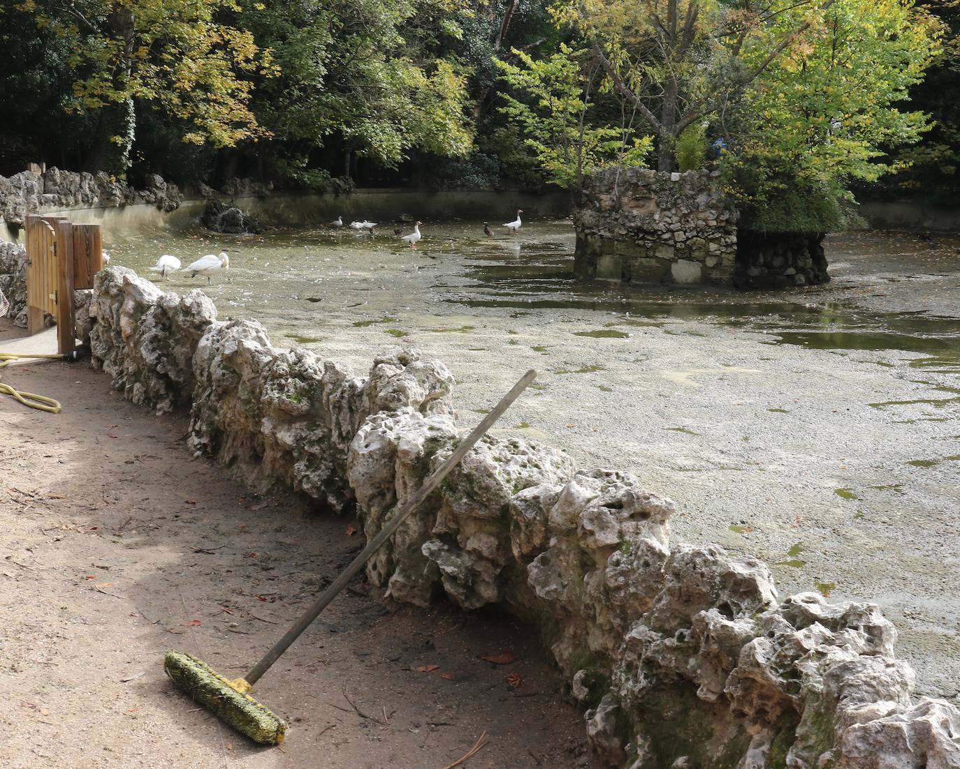 Los operarios vacían el canal, una vez despejado el estanque, ante la curiosa mirada de familias y paseantes y el apiñamiento de los habitantes acuáticos del parque.