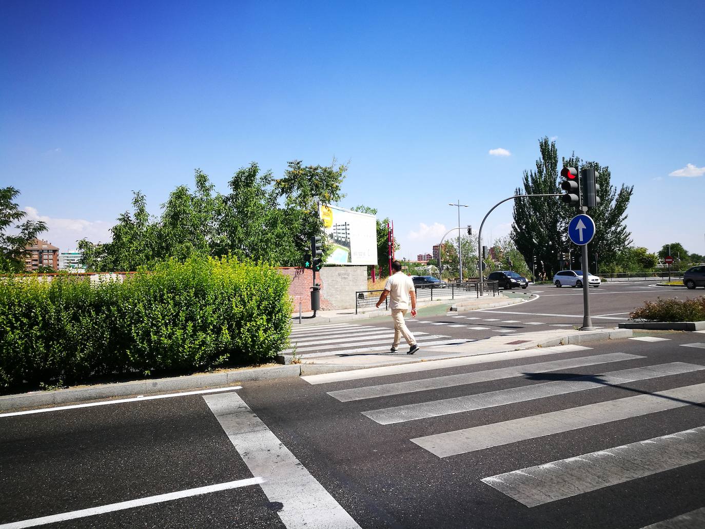 Arbusto demasiado crecido –hoy ya recortado– en la avenida de Salamanca. Alcanza la altura de un peatón. 