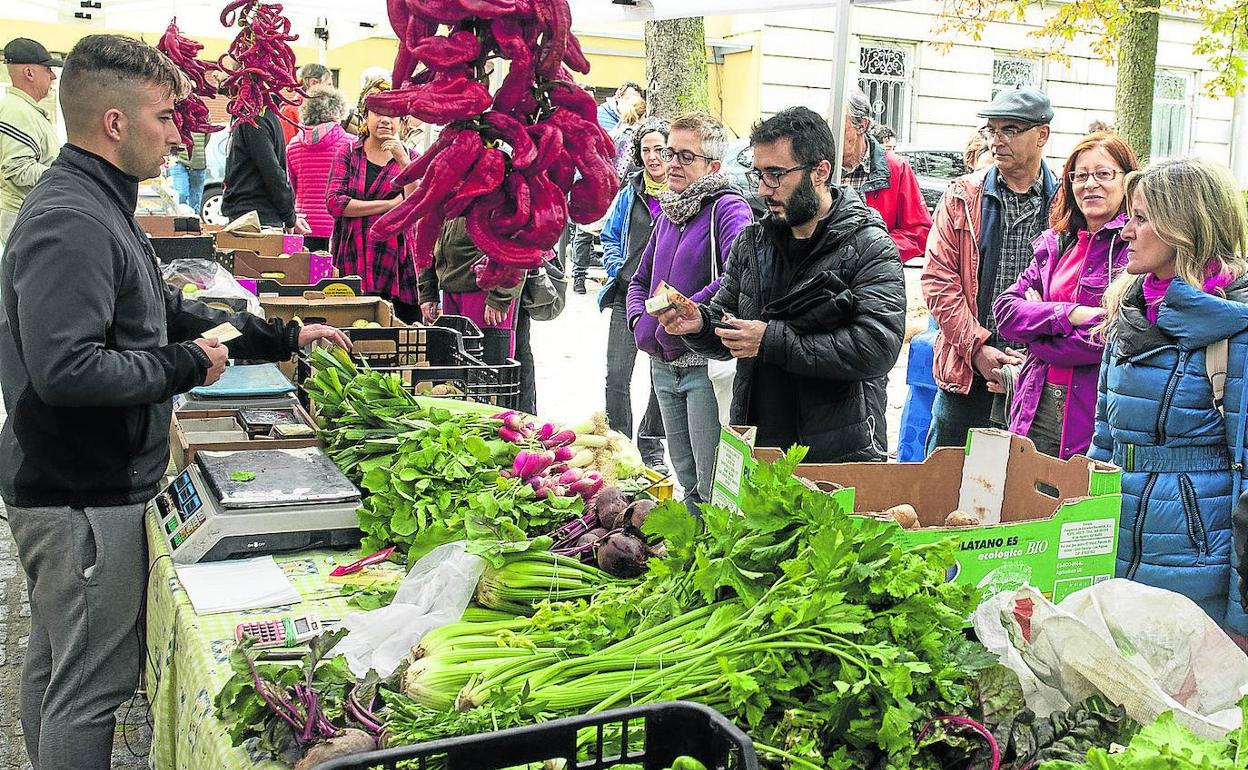 Consumidores en el nuevo mercado ecológico de la ciudad. 