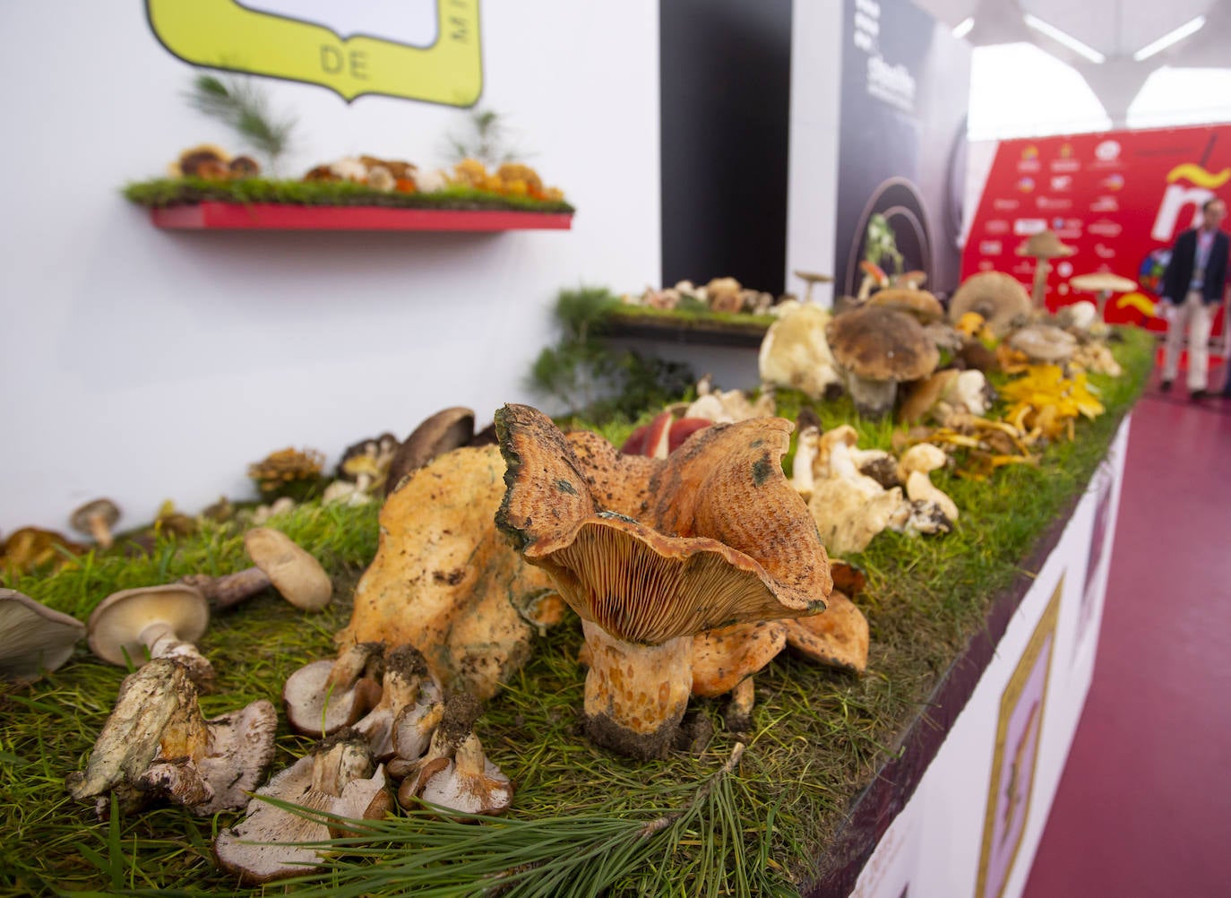 Fotos: Inauguración del XV Concurso Nacional de Pinchos y Tapas y al III Campeonato Mundial de Tapas Ciudad de Valladolid