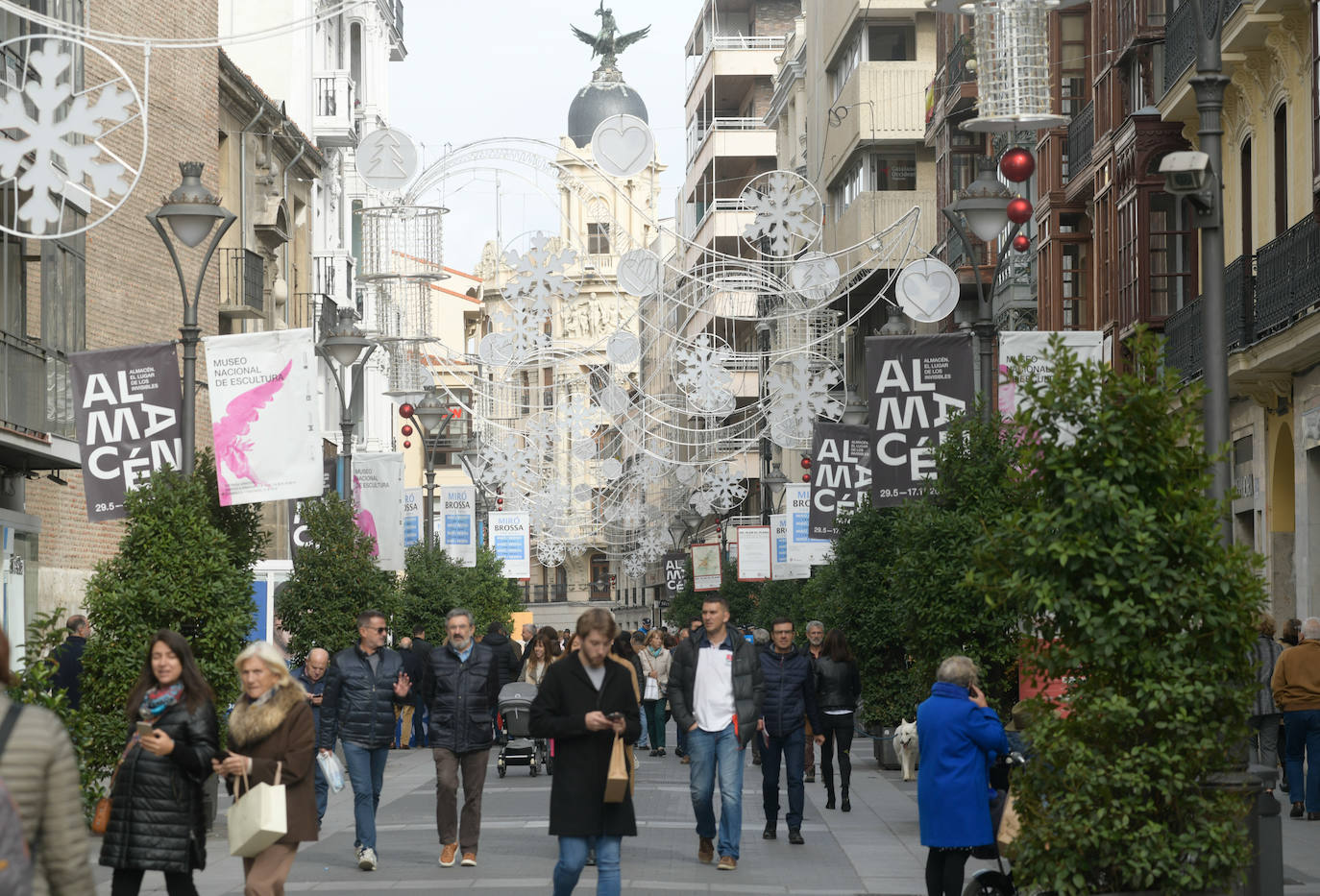 El Ayuntamiento de Valladolid ha colocado el árbol de Navidad en la Plaza Mayor y luces navideñas en las calles del centro.